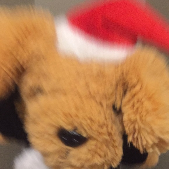 This has been used but it’s in perfect shape. - Picture 2 of 6